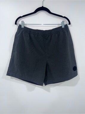 Chubbies Men's Amphibious Hybrid Shorts